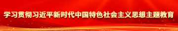 操逼千乐网学习贯彻习近平新时代中国特色社会主义思想主题教育